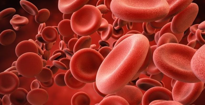 3d rendering of red blood cells in vein