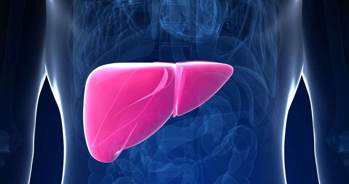 Ground-breaking study tests whether rejected livers can be made viable for transplantation