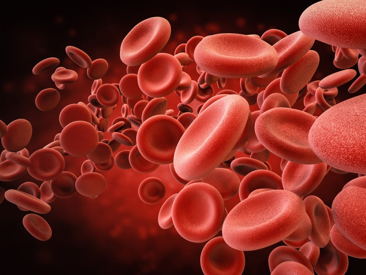 3d rendering of red blood cells in vein