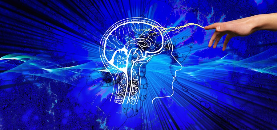 Human brain ‘works backwards’ to retrieve memories, Birmingham study finds