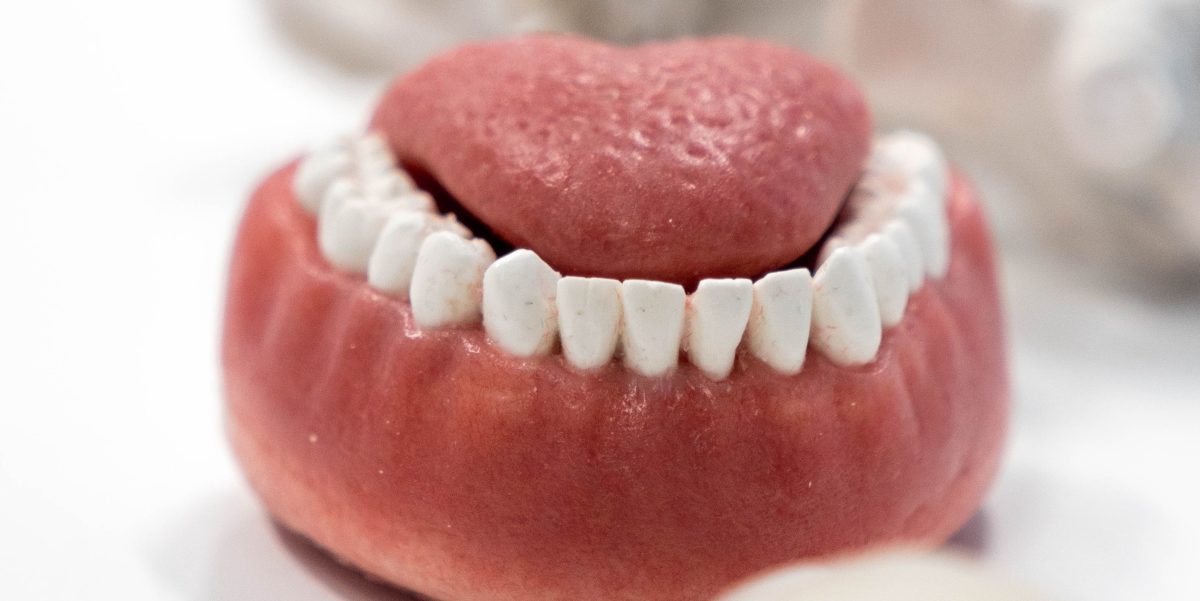Dental students to train on ‘lifelike’ mouth models