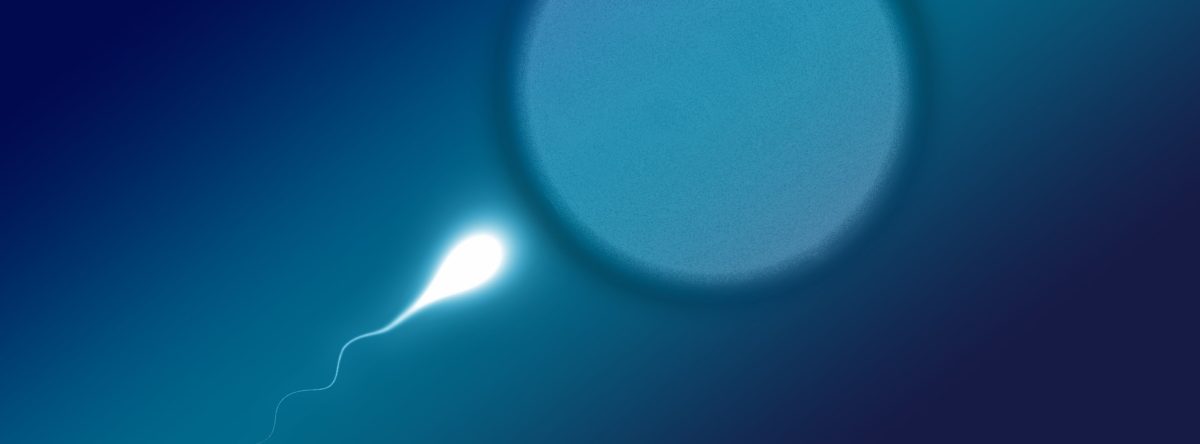 New technique helps make ‘heads or tails’ of male fertility
