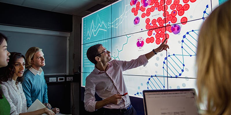 Experts gather around a large screen showing health data