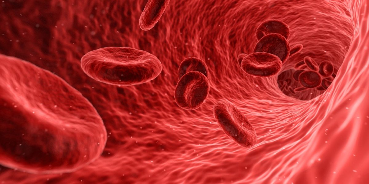 Improving the quality of anaemia diagnosis
