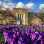 Birmingham Medical School on a spring day