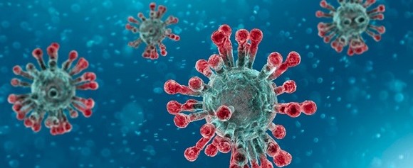 illustration of coronavirus cells