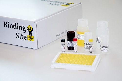 Breakthrough antibodies test to detect ‘hidden’ COVID-19 cases launches in Birmingham