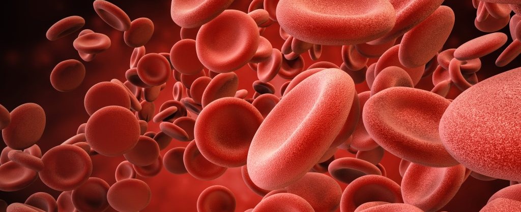 New research collaboration will develop precision cell therapies for blood disorders