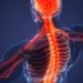 Investigational drug fosters nerve repair after injury